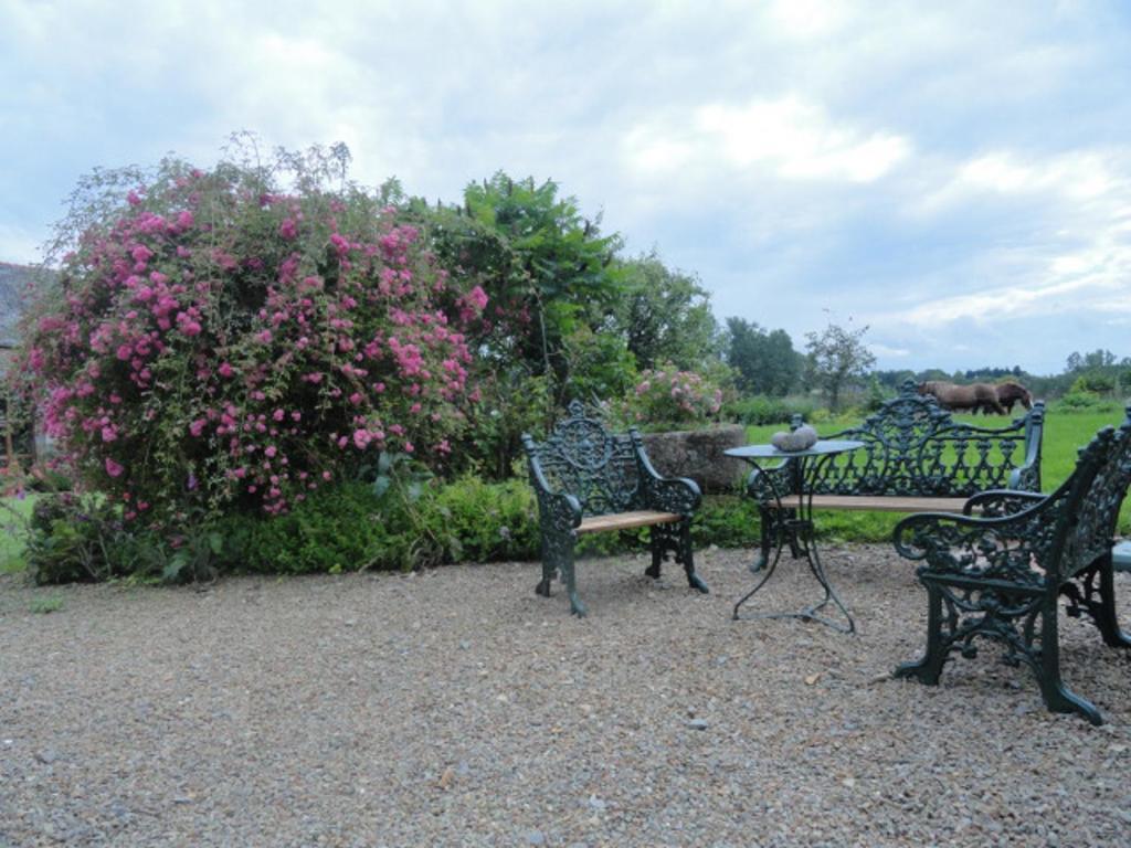 Manoir De La Branche Bed & Breakfast Maen Roch ภายนอก รูปภาพ