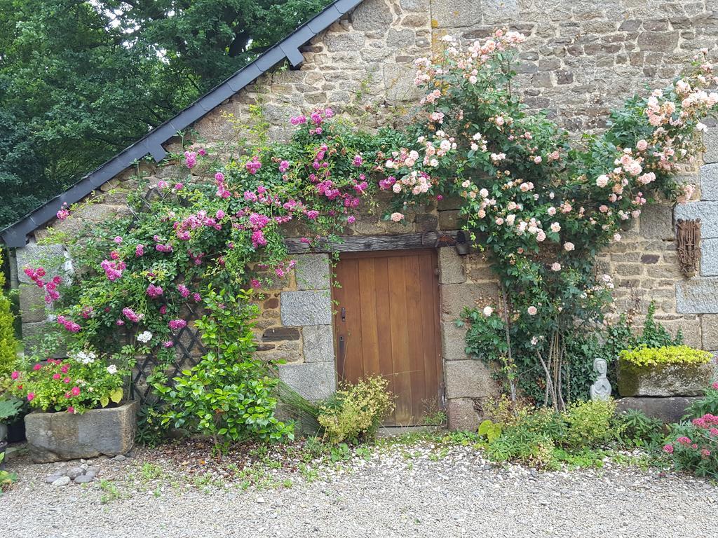 Manoir De La Branche Bed & Breakfast Maen Roch ภายนอก รูปภาพ