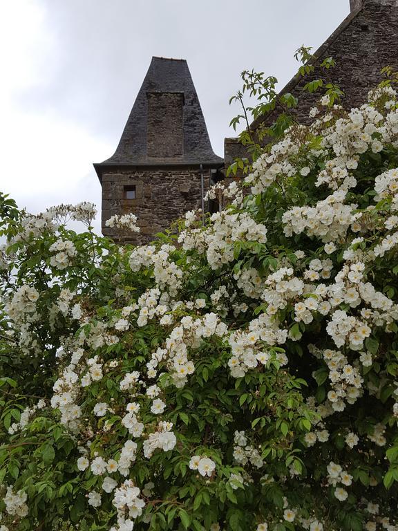 Manoir De La Branche Bed & Breakfast Maen Roch ภายนอก รูปภาพ